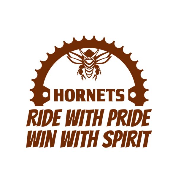 Bicycle 53 Miniatura