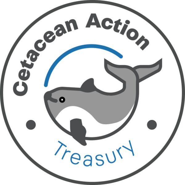 frt Panchito Miniatura